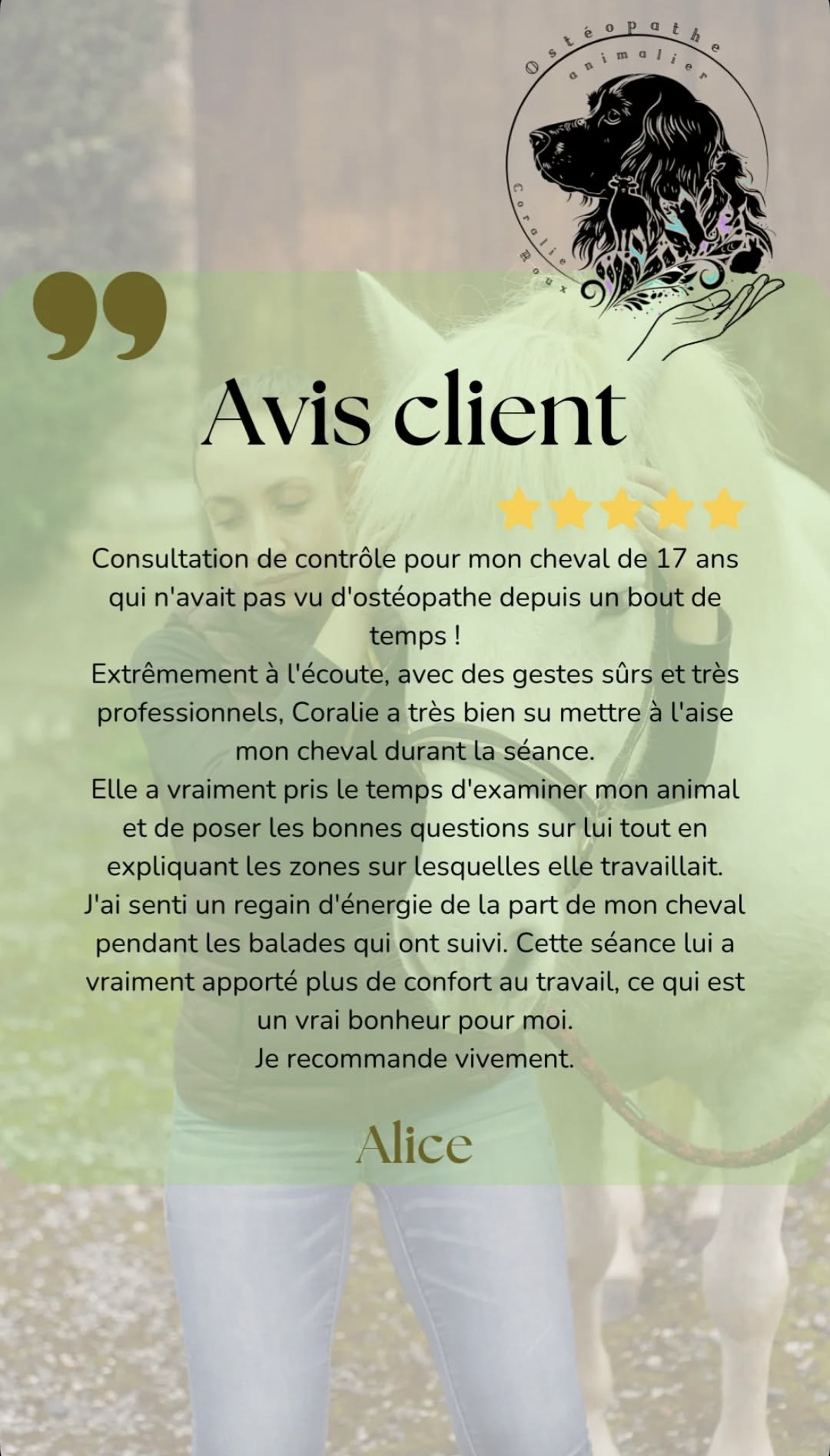 avis cheval