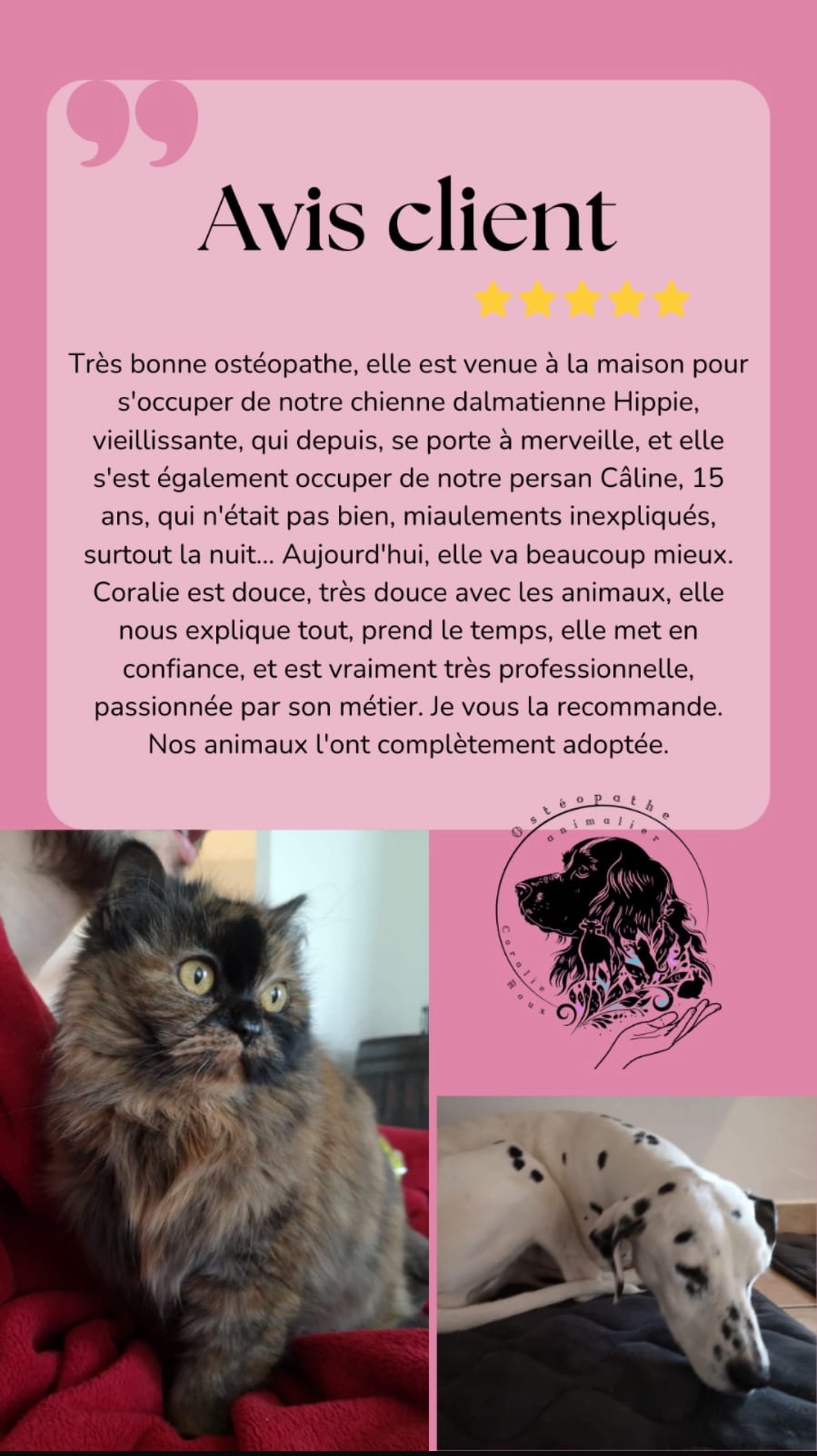 avis chien chat