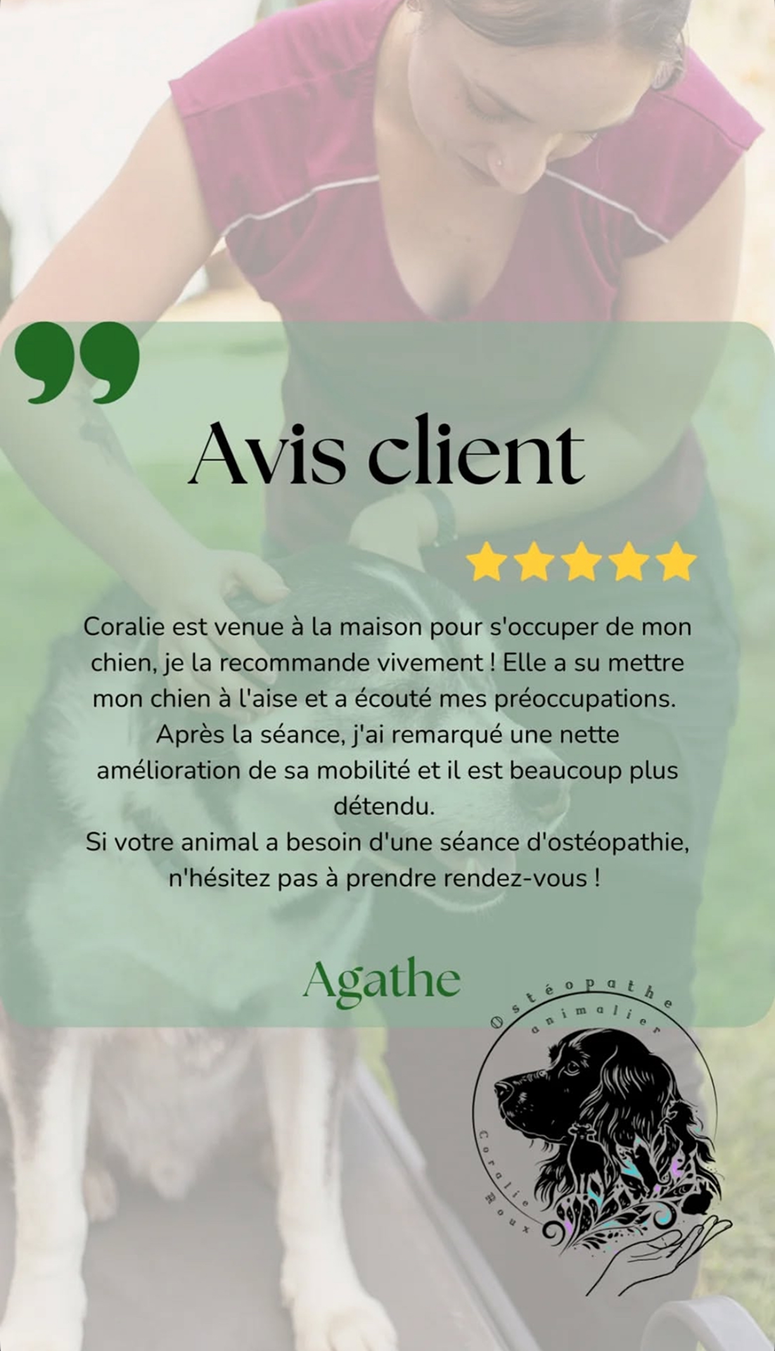 avis chien
