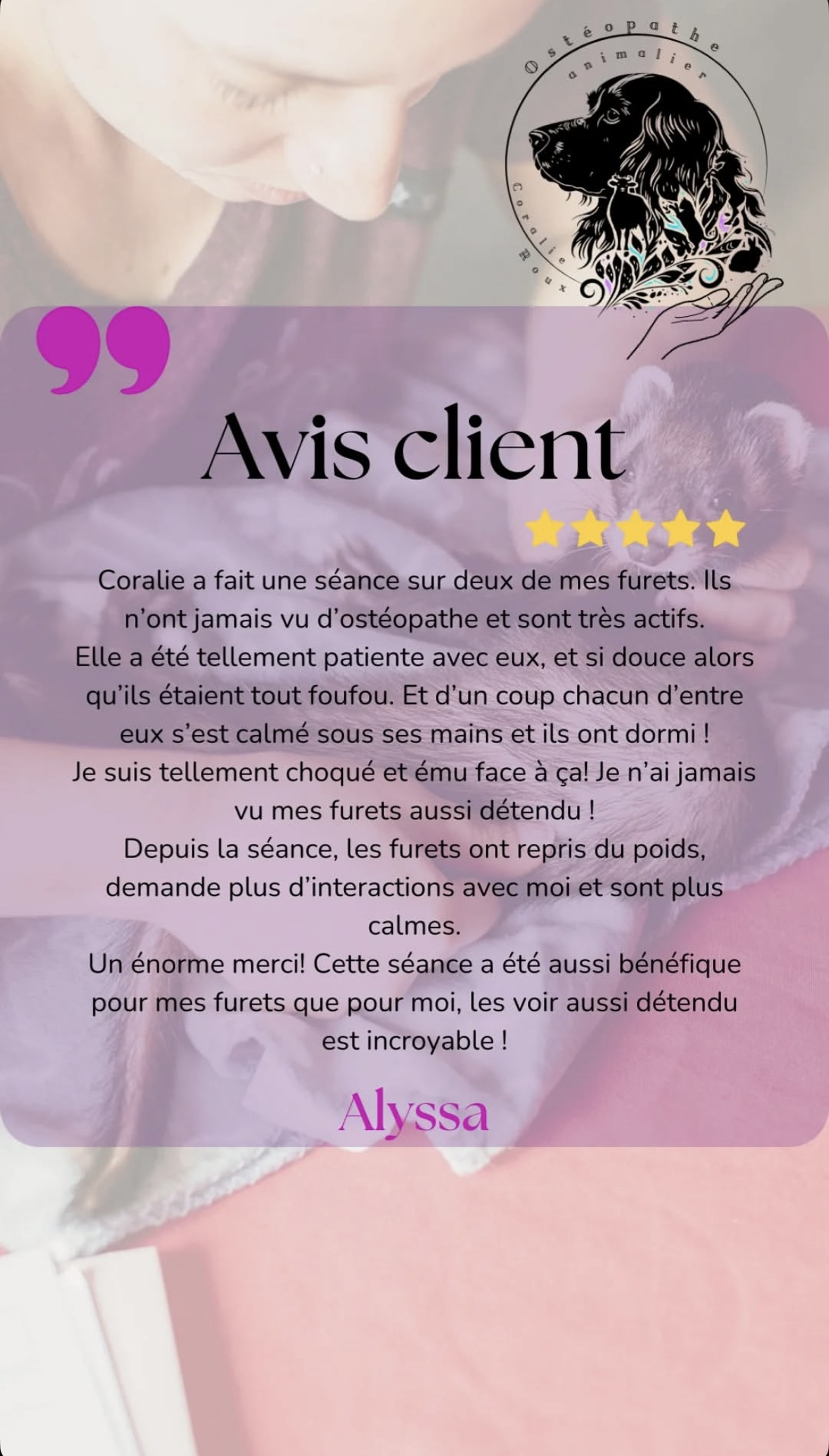 avis furet